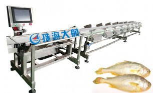 海產業騰飛，始于黃魚分選