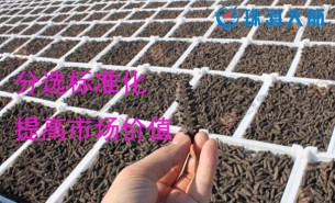 大家都用重量分揀機(jī)分選海參了！您還在用人工分選嗎？