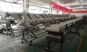 海參捕撈季將至，海參重量大小自動分級秤正緊密備貨中
