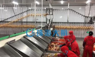 復工后禽肉屠宰加工產量提不上去？快用珠海大航重量分選機